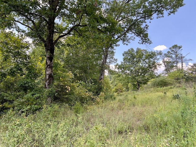 40 Zafra Rd, Smithville, OK 74957