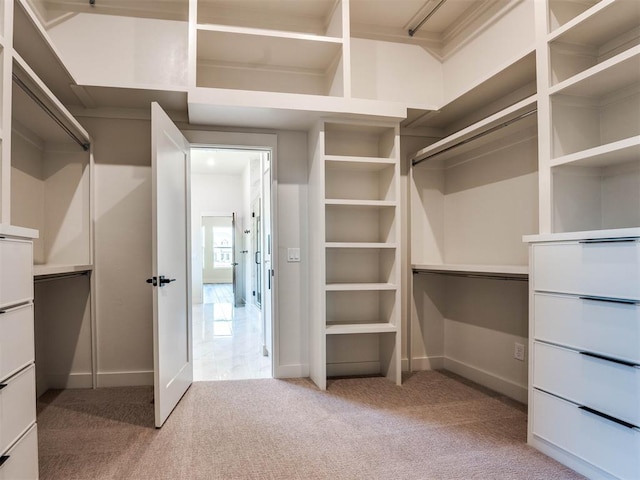 walk in closet featuring carpet