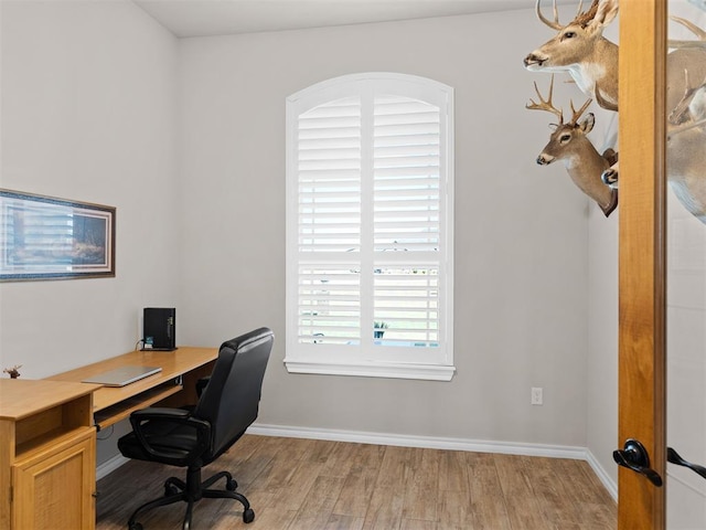 office area with light hardwood / wood-style floors and a wealth of natural light