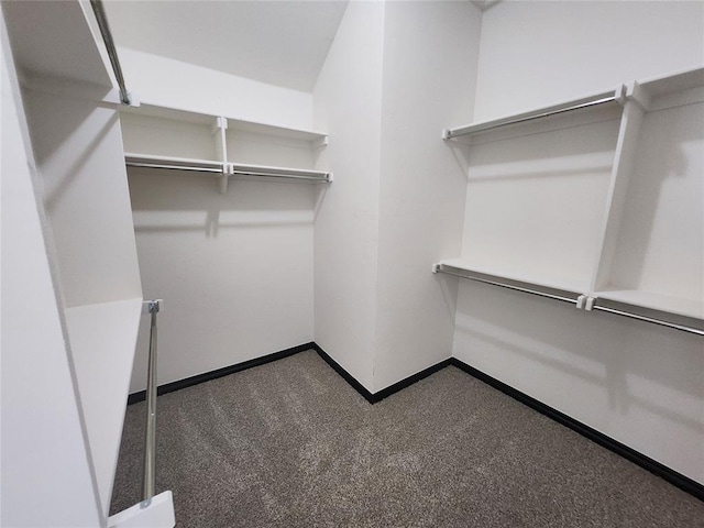 spacious closet with dark colored carpet