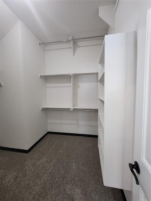 spacious closet featuring dark colored carpet