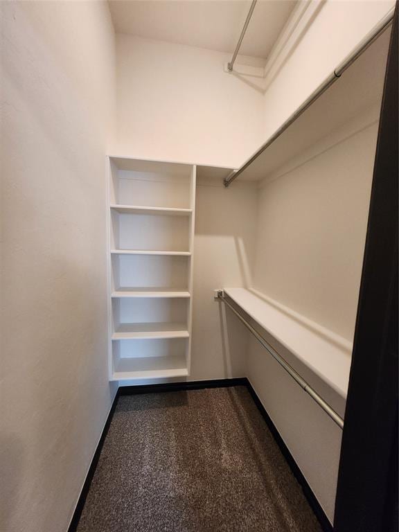 spacious closet with dark colored carpet