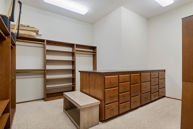 walk in closet with light carpet