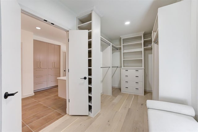 spacious closet featuring light wood-style floors