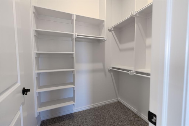 spacious closet with carpet flooring