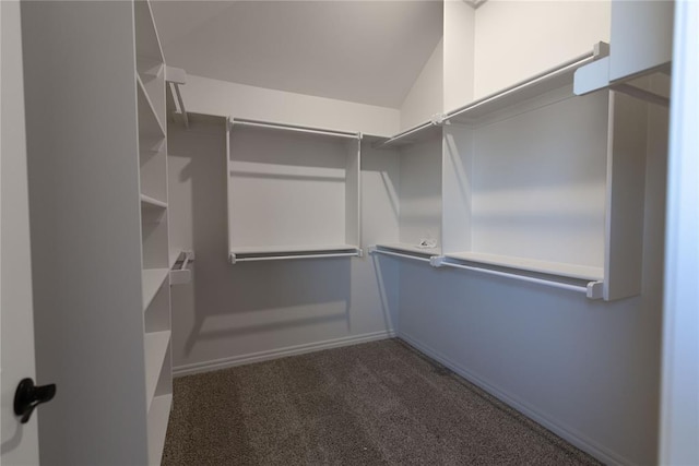 walk in closet featuring lofted ceiling and dark colored carpet