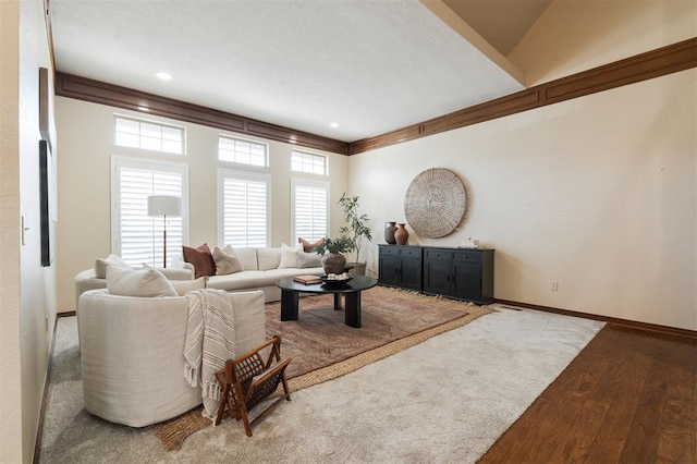 living room featuring hardwood / wood-style flooring