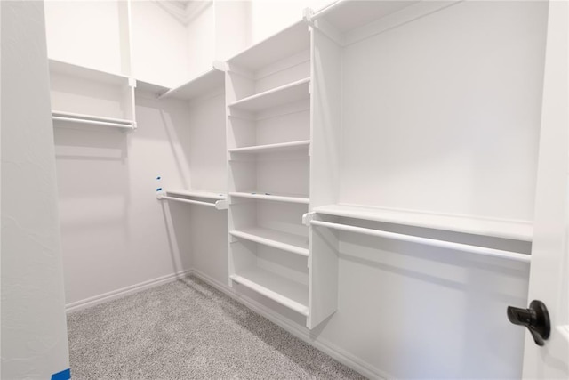 walk in closet with carpet