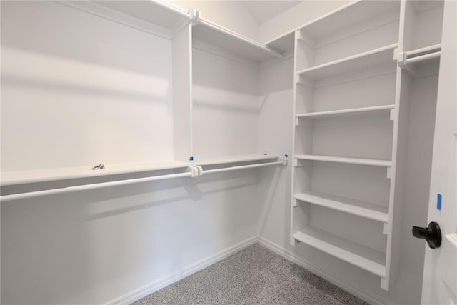 spacious closet featuring carpet flooring