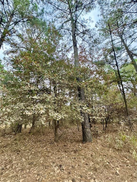 Listing photo 3 for 776 Johnny Beavers Trl Rd, Broken Bow OK 74728