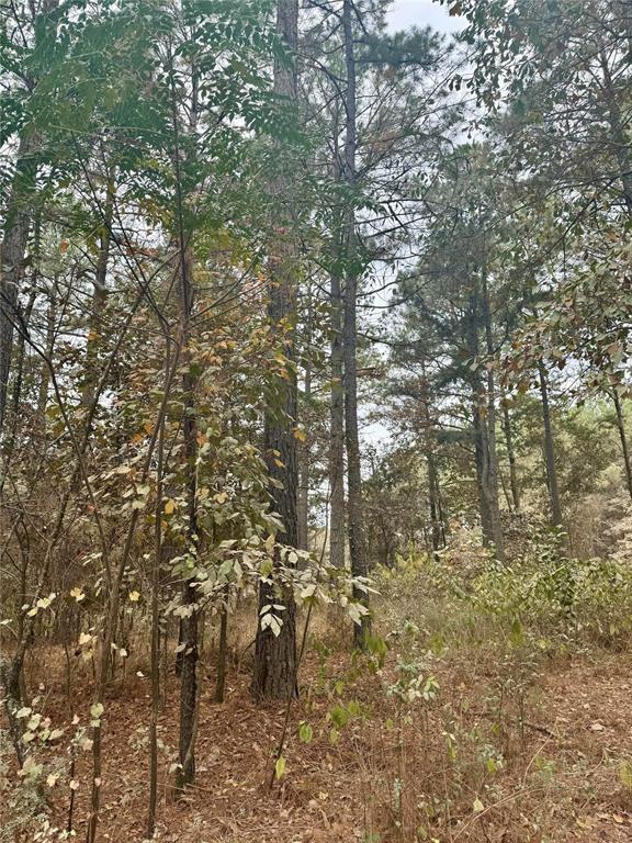 776 Johnny Beavers Trl Rd, Broken Bow OK, 74728 land for sale