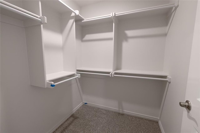 spacious closet with carpet