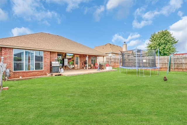 back of house with a patio area, a trampoline, and a yard