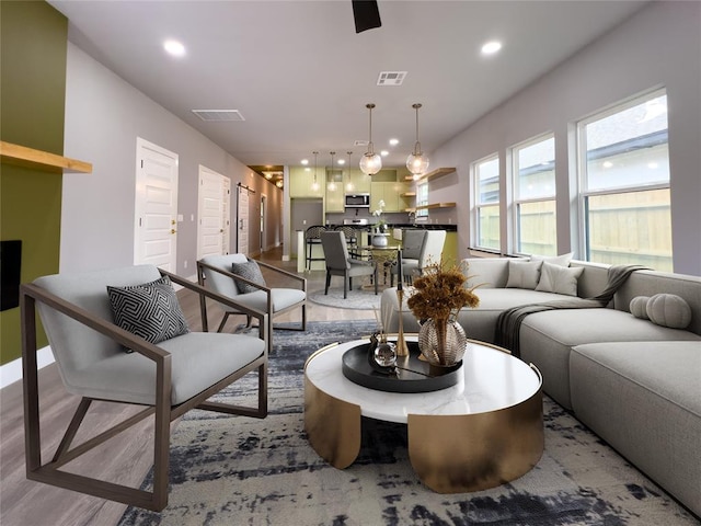 living room featuring wood-type flooring