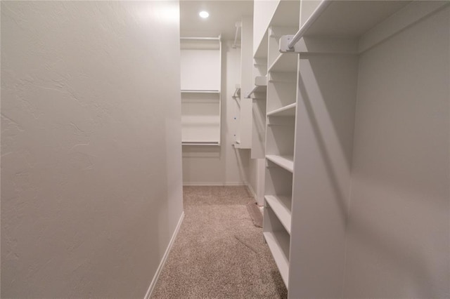 walk in closet with light carpet