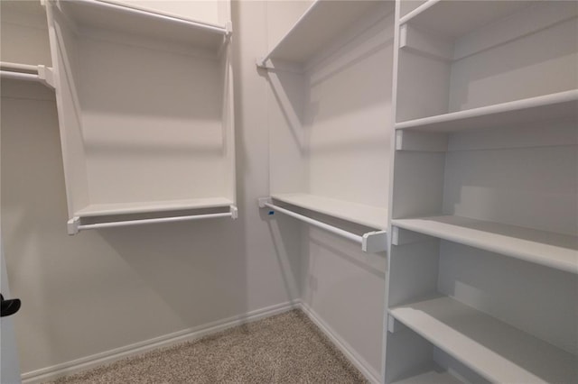 walk in closet with carpet