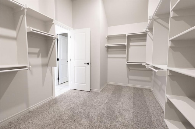 walk in closet featuring carpet floors