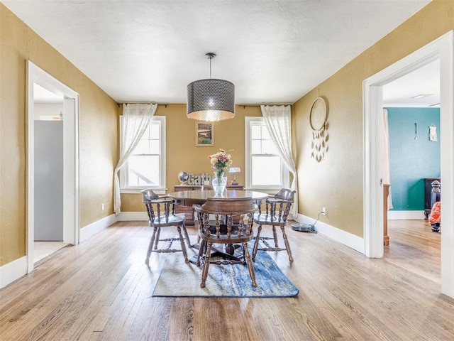 dining room with a healthy amount of sunlight and light hardwood / wood-style floors