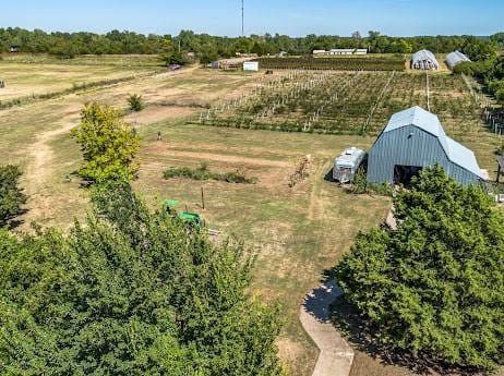 bird's eye view with a rural view