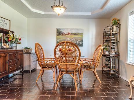 dining space with a textured ceiling, a raised ceiling, and plenty of natural light