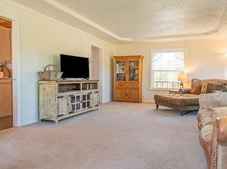 living room featuring a raised ceiling, light colored carpet, and a textured ceiling