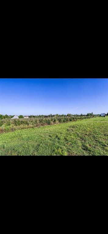 view of nature with a rural view