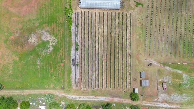 10912 S Czech Hall Rd, Mustang, OK 73064 - photo 50