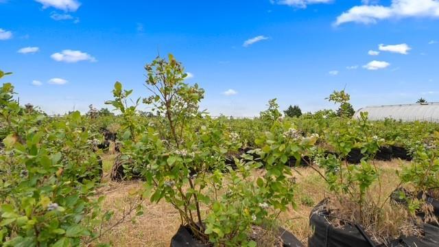 10912 S Czech Hall Rd, Mustang, OK 73064 - photo 44