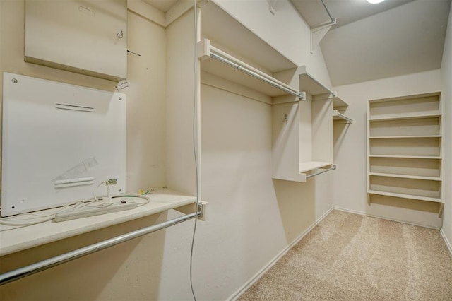 spacious closet featuring light carpet