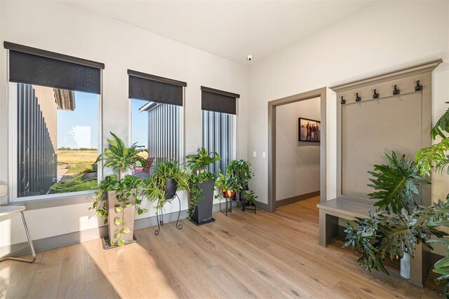 interior space featuring light hardwood / wood-style floors