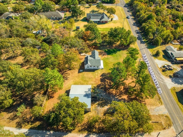 bird's eye view