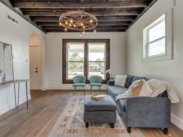 living room featuring a notable chandelier, beam ceiling, wood-type flooring, and a wealth of natural light