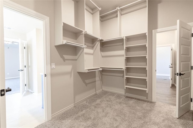 walk in closet featuring light colored carpet