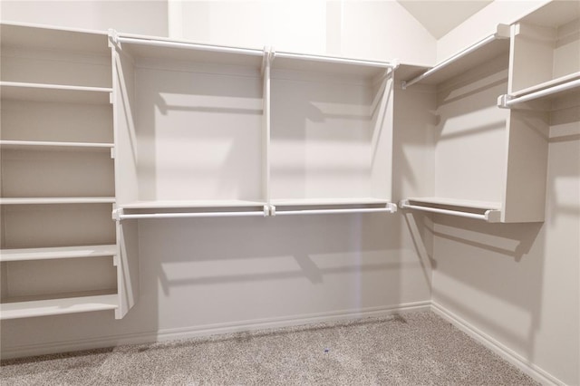 spacious closet featuring carpet floors