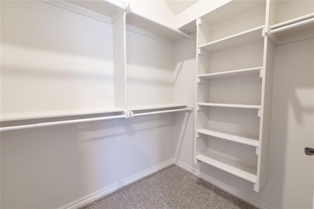 walk in closet featuring carpet flooring