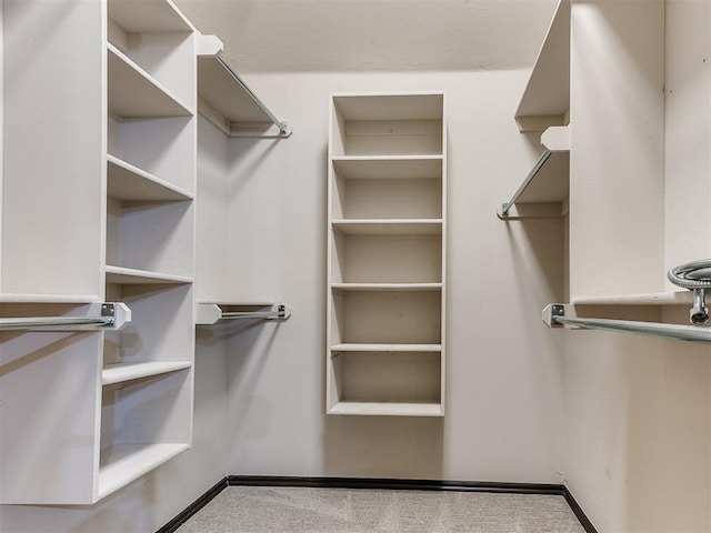 view of walk in closet