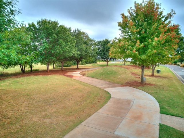 view of home's community featuring a yard