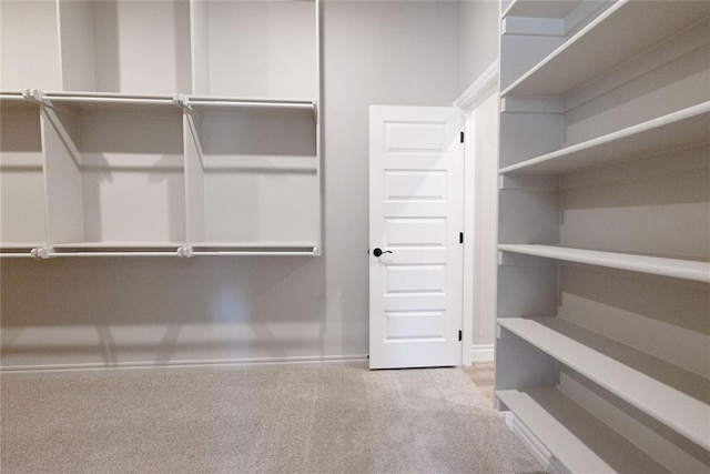 spacious closet featuring carpet flooring