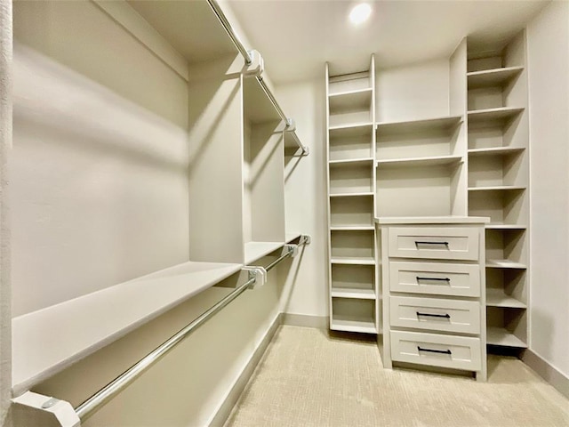 spacious closet with light carpet