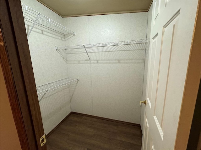 walk in closet featuring dark hardwood / wood-style floors