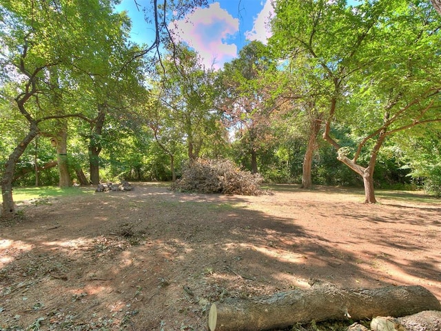 3393 Creek View Ct, Newcastle, OK 73065 - view of yard