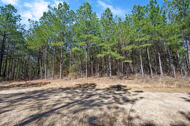 Listing photo 3 for 136 Hochapine Trl, Broken Bow OK 74728