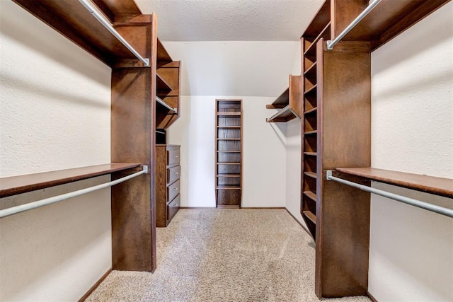 walk in closet featuring carpet floors