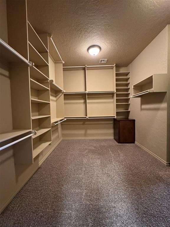 spacious closet featuring visible vents and carpet flooring