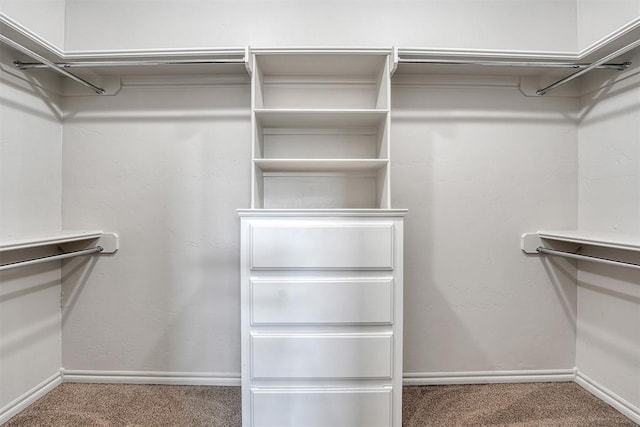 spacious closet with carpet flooring