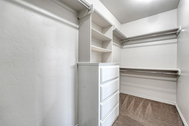 spacious closet with carpet flooring