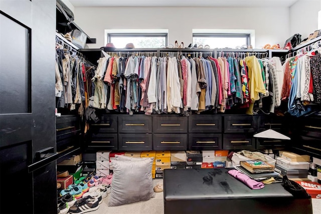 spacious closet featuring carpet flooring