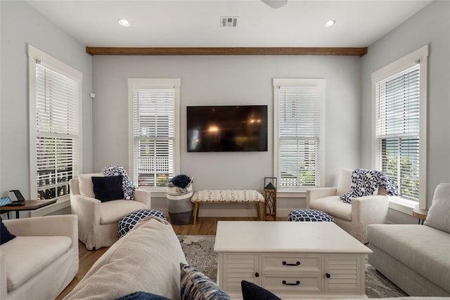 living room featuring hardwood / wood-style floors