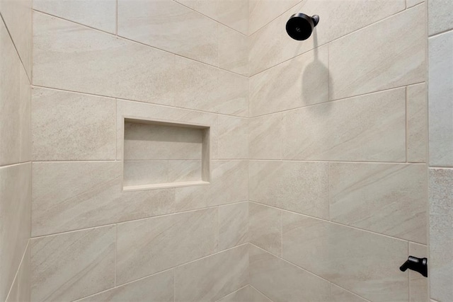 room details featuring tiled shower