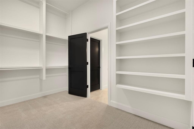 spacious closet with carpet floors